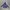 Adidas Sportswear Casual Suit Pria navy photo 5