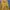 Casual Denim jacket Pria yellow photo 1