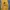 Casual Denim jacket Pria yellow photo 2