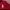 Polo Ralph Lauren Casual Polo shirt Pria burgundy red photo 4