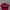 Polo Ralph Lauren Casual Polo Shirt Pria Burgundy Red