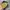 Ed Hardy Vintage Y2K Hat Pria black yellow photo 3