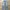 American Eagle Vintage Streetwear Dungaree Pria blue photo 1