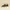 Timberland Vintage Streetwear Loafer Pria Brown