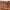 Y2K Minimalist Skirt Wanita brown photo 2