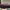 Casual Casual shoe Pria burgundy photo 3