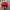 Vintage Streetwear Hat Pria white red photo 4