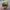 Vintage Streetwear Hat Pria green photo 4