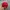 Vintage Streetwear Hat Pria red photo 4