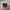 Vintage Streetwear Hat Pria burgundy photo 1