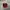 Vintage Streetwear Hat Pria Burgundy