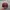 Vintage Streetwear Hat Pria burgundy photo 4