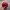 Vintage Streetwear Hat Pria navy red photo 4