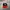 Caterpillar Vintage Streetwear Hat Pria Red Black