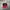 Vintage Streetwear Hat Pria red black photo 1