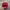 Vintage Streetwear Hat Pria red photo 4