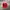 Vintage Streetwear Hat Pria Red