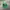 Vintage Streetwear Hat Pria green photo 1