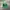 Vintage Streetwear Hat Pria Green