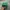 Vintage Streetwear Hat Pria green photo 4
