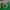 Vintage Streetwear Hat Pria green photo 2