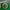 Vintage Streetwear Hat Pria Green