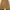 Carhartt Vintage Streetwear Dungaree Pria brown photo 4