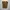 Carhartt Vintage Streetwear Dungaree Pria brown photo 1