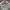 ROMWE Grunge Coquette Sweatshirt Wanita multicolor photo 2