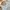 ROMWE Grunge Coquette Sweatshirt Wanita multicolor photo 4