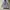 Y2K Grunge Hoody Pria gray photo 2