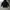 Grunge Emo Hoody Pria black photo 2