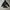 Y2K Hoody Pria Black Gray