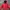 Nike Vintage Casual Hoody Pria red photo 1