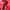 Nike Vintage Casual Hoody Pria red photo 5