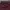 Vintage Y2K Jeans Pria Burgundy