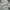 ZARA Casual Skinny jeans Wanita white navy photo 4