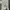 Casual Reworked Pencil skirt Wanita gray photo 7