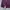 Grooverhyme Streetwear Casual Sweatshirt Pria purple photo 3