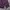 Grooverhyme Streetwear Casual Sweatshirt Pria purple photo 4