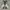 Nike Air Jordan Sportswear Sneakers Pria white red photo 4