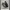 VANS Minimalist Casual Sneakers Pria black photo 1