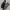 VANS Minimalist Casual Sneakers Pria black photo 7