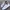 New Balance Minimalist Casual Sneakers Pria white photo 1