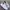 New Balance Minimalist Casual Sneakers Pria white photo 5