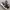 New Balance Minimalist Casual Sneakers Pria white black photo 2