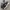 New Balance Minimalist Casual Sneakers Pria white black photo 1