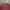 Topten Minimalist Casual Sweatshirt Pria Burgundy Red