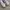 New Balance Minimalist Casual Sneakers Pria white black photo 4
