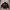 Sportswear Bomber jacket Pria red black photo 1